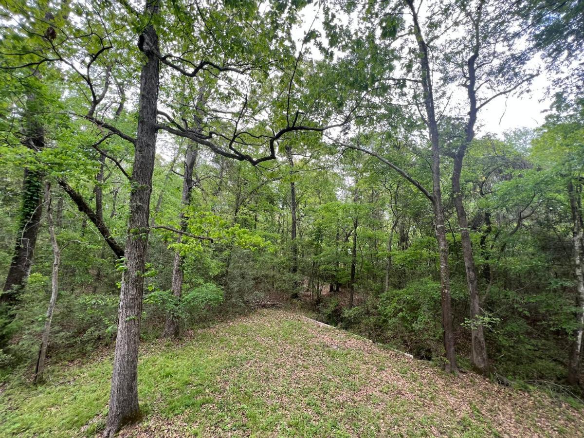 2 Bdrm Treehouse Hideout- Lake Conroe With Boat Ramp Montgomery Ngoại thất bức ảnh